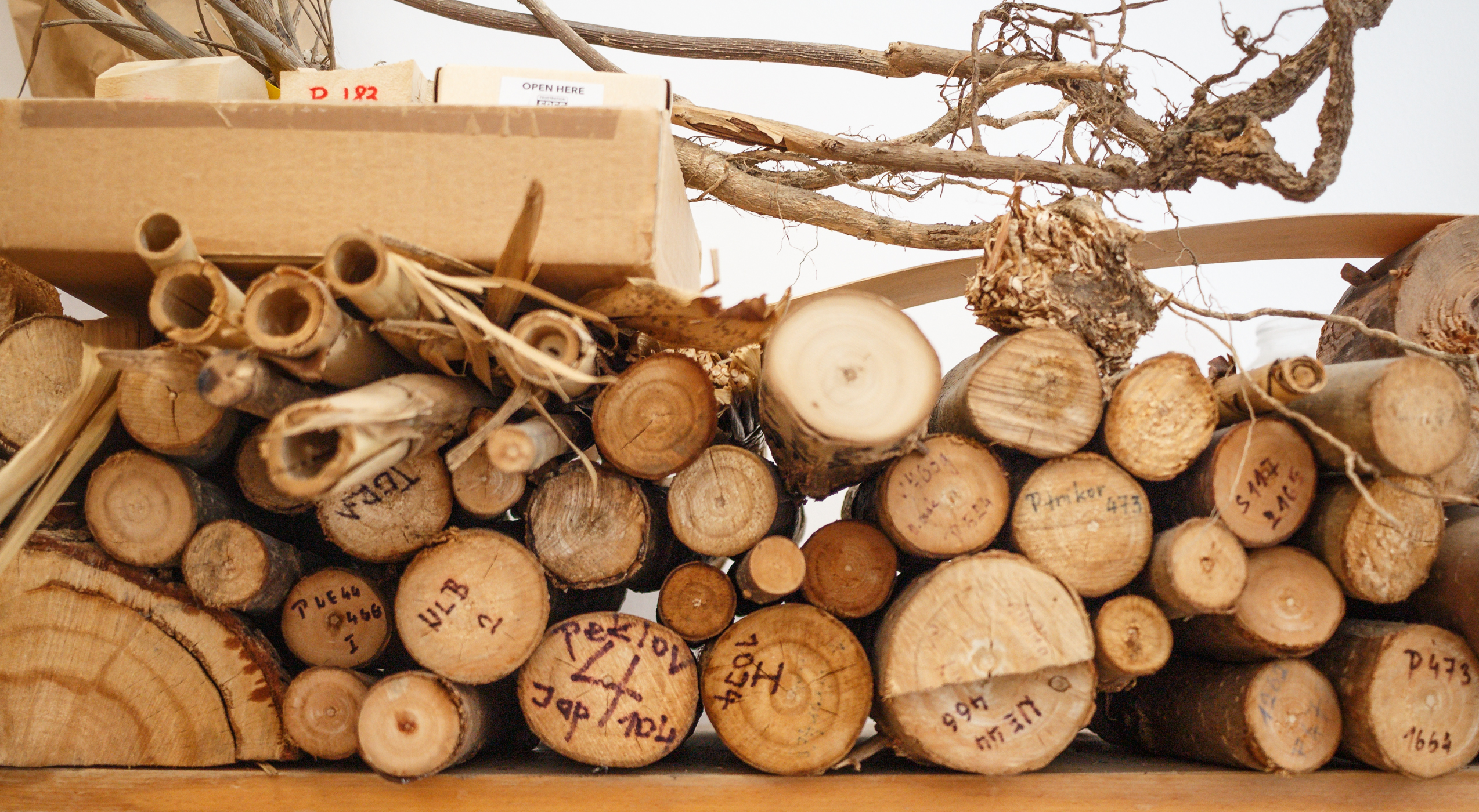 VUKOZ Fytoenergetika50 - PRUH