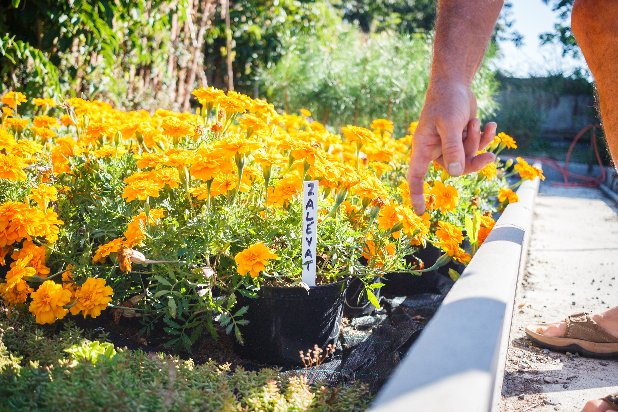 VUKOZ Šlechtitelství48 PRUH