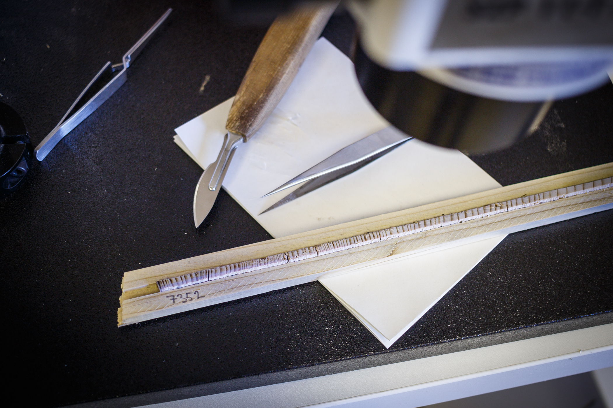 VUKOZ ekologie lesa 10