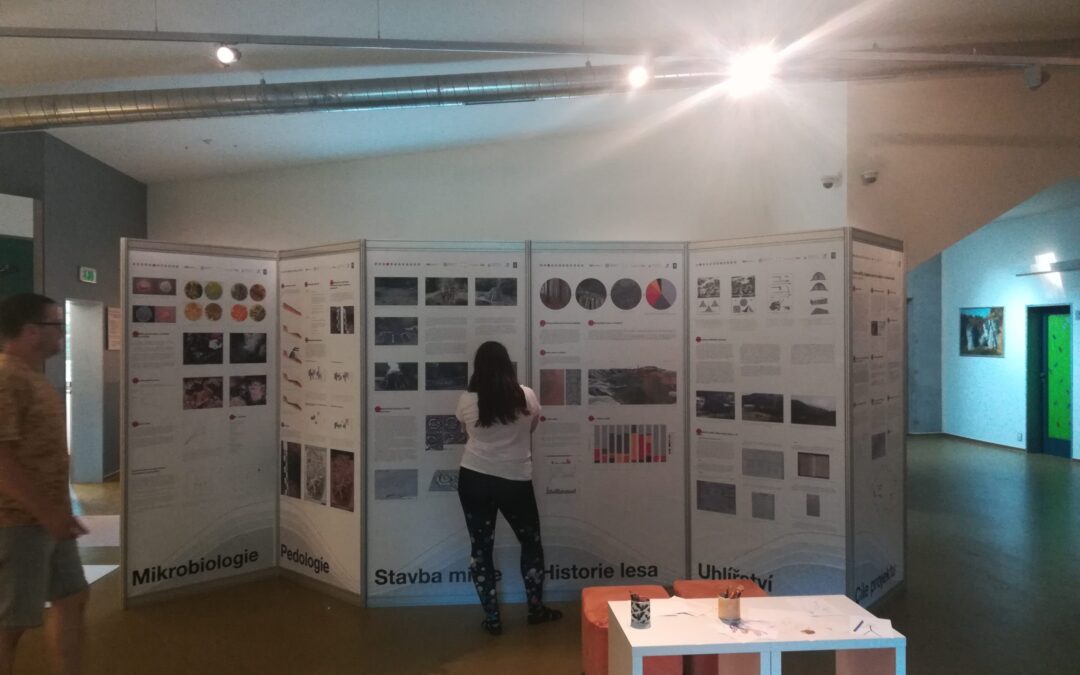 Úloha milířišť z hlediska kulturního dědictví a ochrany krajiny