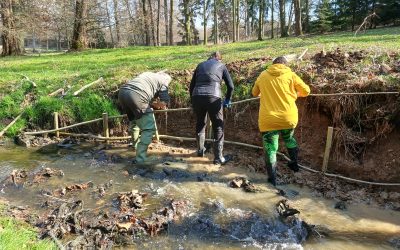 Workshop Využití vrb pro haťování bystřin