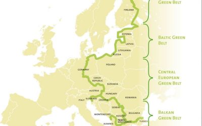 Obnova přírodního dědictví v Evropském Zeleném pásu – inspirativní příklady dobré praxe