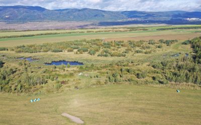 VÚK se podílí na obnově lomu ČSA v rámci projektu Green Mine, proběhla výsadba rychle rostoucích dřevin