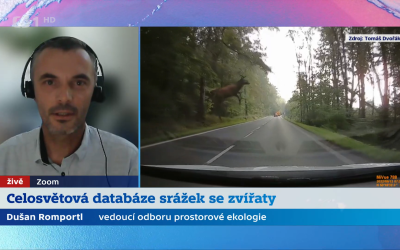 Dušan Romportl v ČT o celosvětové databázi střetů obratlovců s vozidly