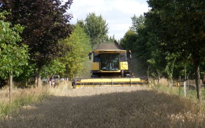 Sklizeň plodin ve výzkumném agrolesnickém systému Michovky