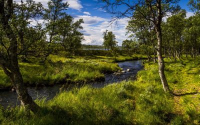 Nové projekty VÚK v Národním programu Životní prostředí