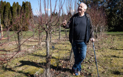 Dendrologická zahrada v Respektu