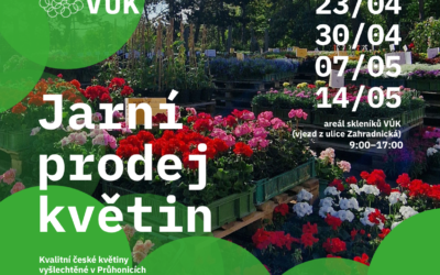 Jarní prodej květin ve sklenících VÚK