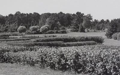 Studium historie interaktivně? Seznamte se s mapou Dendrologické zahrady