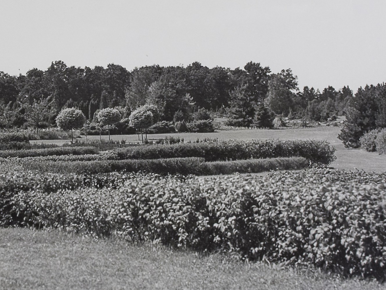 Studium historie interaktivně? Seznamte se s mapou Dendrologické zahrady