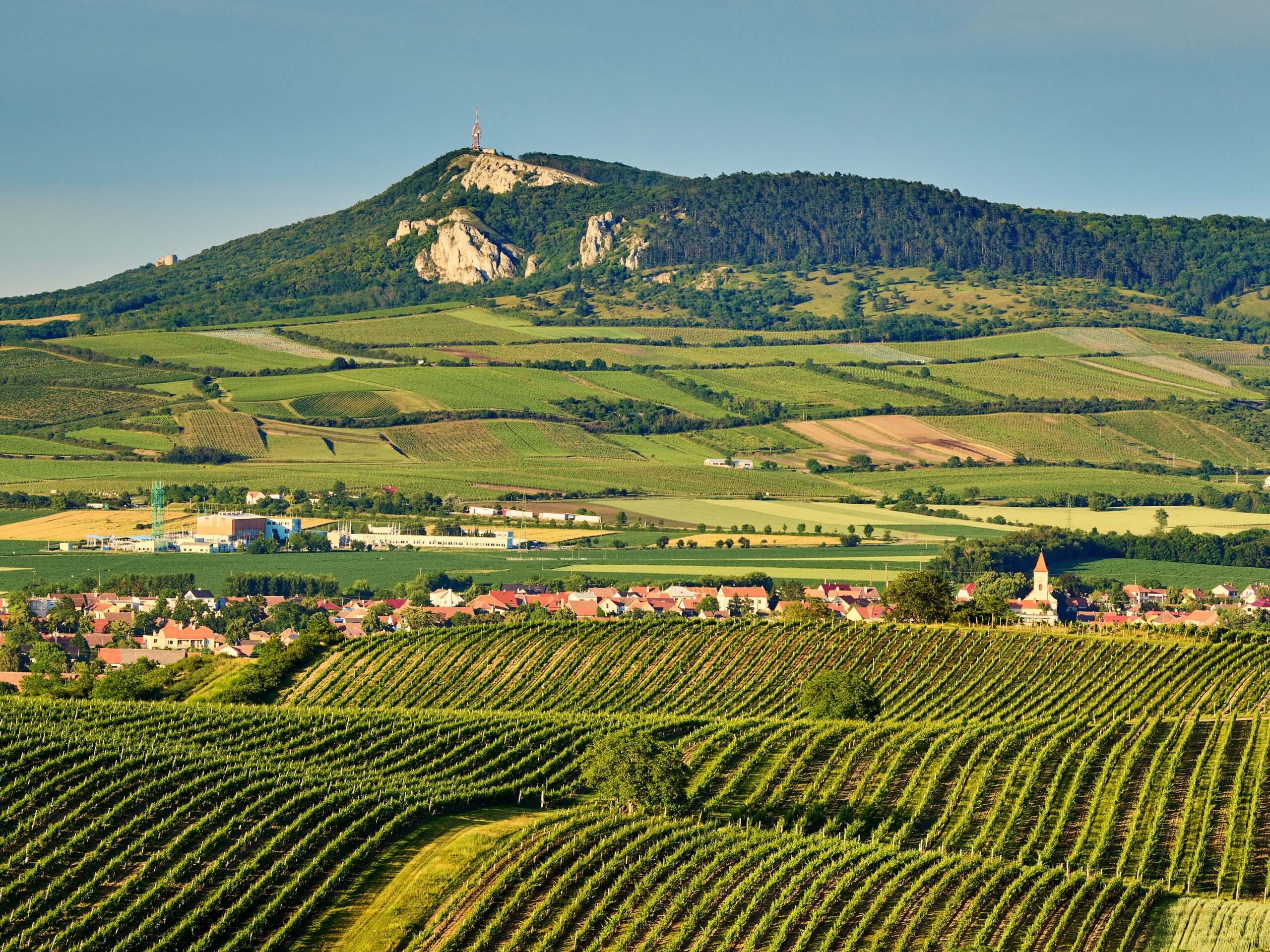 Vláda schválila Politiku krajiny – strategický dokument pro obnovu krajiny